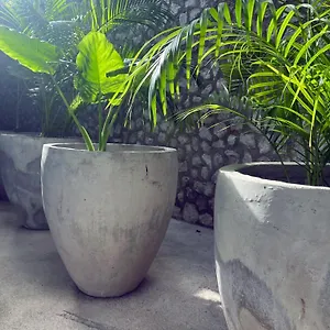 Bau Hotel Tulum